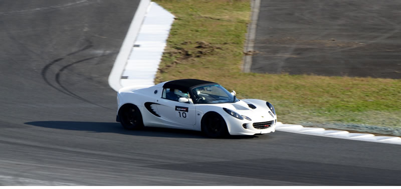 JAPAN LOTUS DAY 