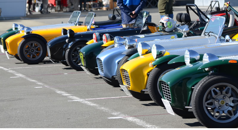 JAPAN LOTUS DAY