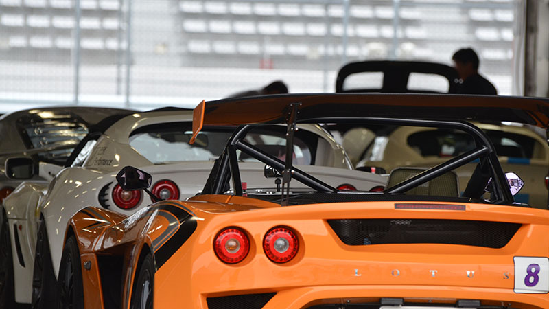 JAPAN LOTUSDAY