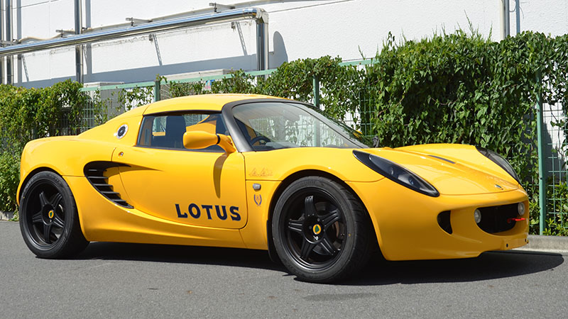 1808elise99t01.jpg